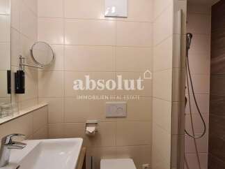 Experience modern comfort in this well-appointed bathroom, featuring a sleek sink, a convenient toilet with a tissue holder, and a refreshing shower area.