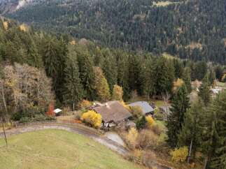 Nestled amidst a vibrant autumn forest, this charming property offers a serene escape.