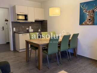 Super central: 2-bedroom tourist rental in Zell am See