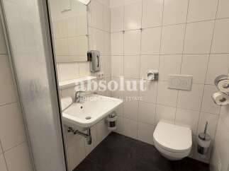 This modern bathroom features a sleek sink, a clean toilet, and a convenient shower area.