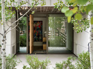 This modern home features a striking entryway with a large wooden pivot door and expansive glass panels, offering a glimpse into a vibrant interior.