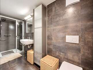 Experience modern comfort in this stylish bathroom, featuring a sleek walk-in shower with dark grey tiled walls and a convenient handheld showerhead.
