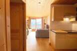 Experience breathtaking mountain views from this charming apartment, featuring a cozy living area with ample natural light and a well-equipped kitchen perfect for preparing meals.