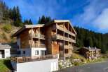 Experience the charm of alpine living in this stunning wooden chalet, nestled against a backdrop of lush green forests and a clear blue sky.
