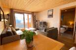 Experience cozy mountain living in this charming apartment, featuring a spacious living area with comfortable seating and a large window offering scenic views.