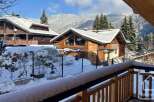 Experience the charm of a winter wonderland with this stunning alpine property.