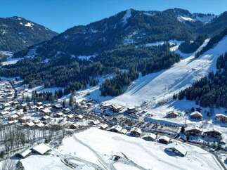 Apartment in Chatel with 1 Bedroom