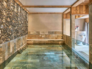 Experience ultimate relaxation in this luxurious indoor pool area, featuring a stunning stone accent wall and a built-in stone bench.