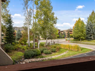 Experience the beauty of autumn with this stunning view featuring vibrant fall foliage and mature trees.