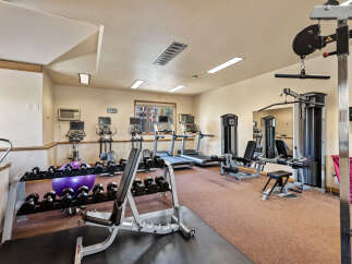 Equip your home gym with a comprehensive selection of fitness equipment, including treadmills, elliptical machines, and a full dumbbell rack.
