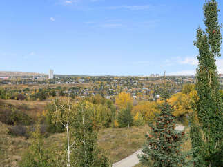 Experience breathtaking panoramic views of the city skyline and surrounding natural landscape from this elevated vantage point.