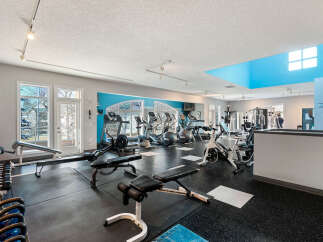 Step into this well-equipped fitness center, featuring a variety of cardio machines like treadmills and ellipticals, alongside weight training equipment and free weights.
