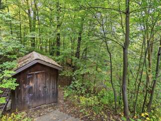 Discover this charming rustic shed nestled within a lush, green forest.