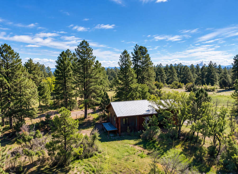 Nestled amidst a serene forest, this charming cabin offers a peaceful retreat.