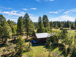 Nestled amidst a serene forest, this charming cabin offers a peaceful retreat.