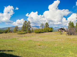 Nestled amidst rolling hills and mature pine trees, this property offers a serene retreat with breathtaking mountain views.