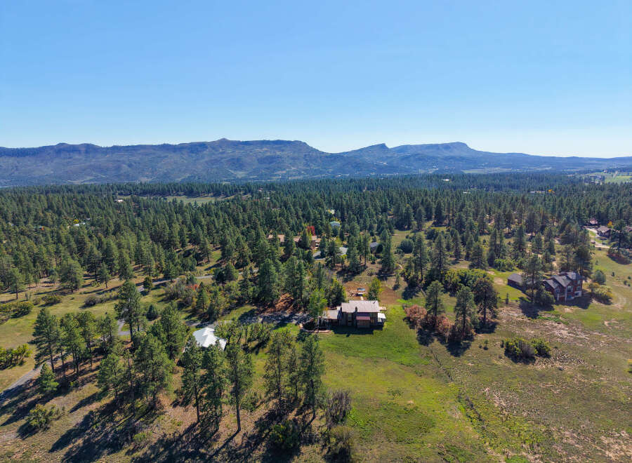 Discover your dream home nestled amidst a serene pine forest, offering breathtaking mountain views.