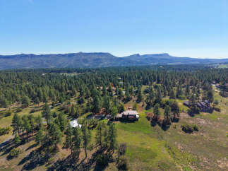 Discover your dream home nestled amidst a serene pine forest, offering breathtaking mountain views.