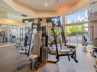 Step into this well-equipped gym, featuring a variety of weight machines and cardio equipment, including treadmills and a rowing machine.