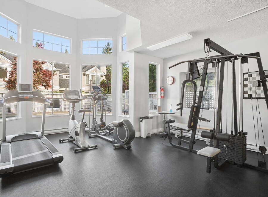 Elevate your fitness routine in this well-equipped home gym, featuring a treadmill, elliptical, stationary bike, and a comprehensive weight machine.