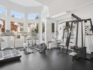Elevate your fitness routine in this well-equipped home gym, featuring a treadmill, elliptical, stationary bike, and a comprehensive weight machine.