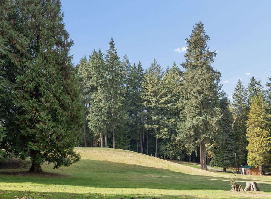 Discover a tranquil oasis with this stunning property, featuring a lush green lawn perfect for outdoor activities and a backdrop of majestic evergreen trees.
