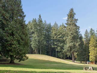 Discover a tranquil oasis with this stunning property, featuring a lush green lawn perfect for outdoor activities and a backdrop of majestic evergreen trees.