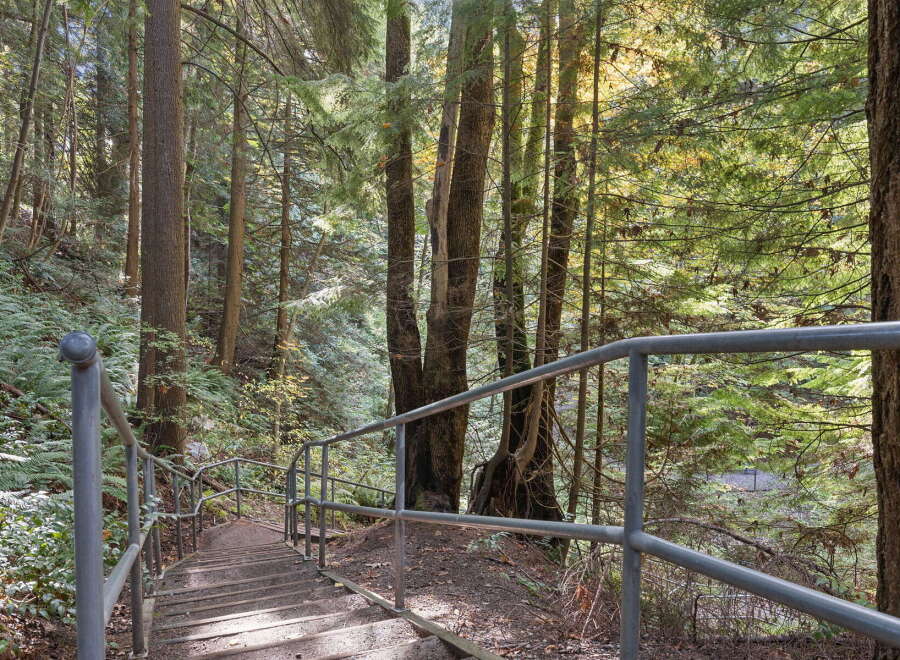 Explore the natural beauty surrounding this property with a scenic staircase leading into a lush forest.