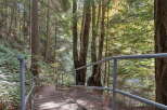 Explore the natural beauty surrounding this property with a scenic staircase leading into a lush forest.