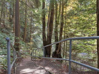 Explore the natural beauty surrounding this property with a scenic staircase leading into a lush forest.