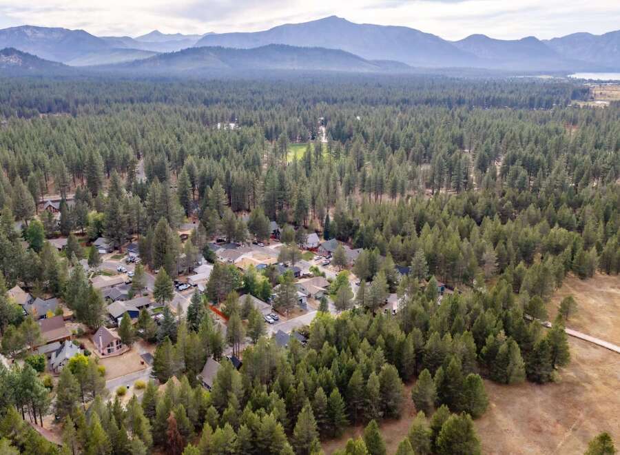 Discover this charming residential neighborhood nestled amidst a dense forest of tall pine trees.