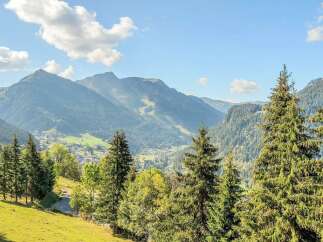 Experience breathtaking mountain vistas from this stunning property, nestled amidst lush green hills and towering pine trees.
