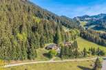 Nestled amidst a lush alpine forest, this charming property offers a serene mountain retreat.