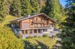 Experience luxury mountain living in this stunning wooden chalet, nestled amidst a serene forest.