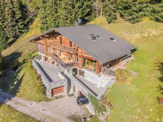 Discover this stunning wooden chalet nestled amidst a lush forest, offering breathtaking mountain views.