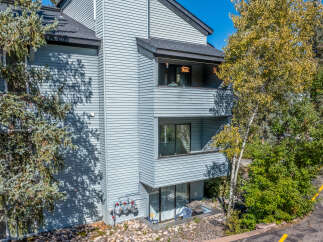 Discover this charming property featuring a light blue siding exterior, complemented by mature trees and lush greenery.