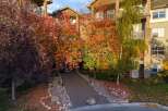Experience the beauty of autumn with this stunning property, featuring vibrant fall foliage that creates a picturesque setting.