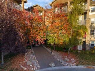 Experience the beauty of autumn with this stunning property, featuring vibrant fall foliage that creates a picturesque setting.