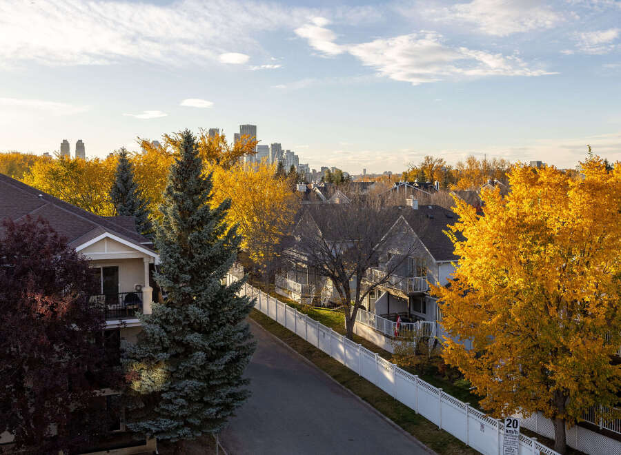 Experience the vibrant beauty of autumn in this charming neighborhood, where mature trees with golden foliage create a picturesque setting.