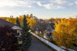 Experience the vibrant beauty of autumn in this charming neighborhood, where mature trees with golden foliage create a picturesque setting.