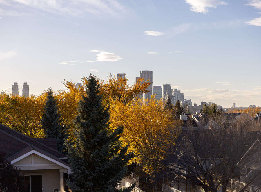 Experience the beauty of autumn from this vantage point, overlooking a vibrant cityscape framed by trees ablaze in golden fall colors.