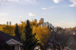 Experience the beauty of autumn from this vantage point, overlooking a vibrant cityscape framed by trees ablaze in golden fall colors.