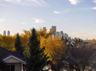 Experience the beauty of autumn from this vantage point, overlooking a vibrant cityscape framed by trees ablaze in golden fall colors.