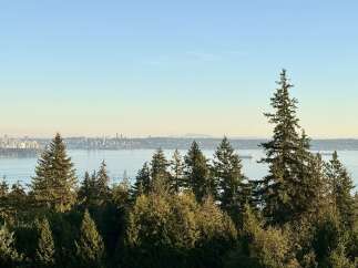 Experience breathtaking panoramic views of the city skyline and the serene ocean from this elevated vantage point.