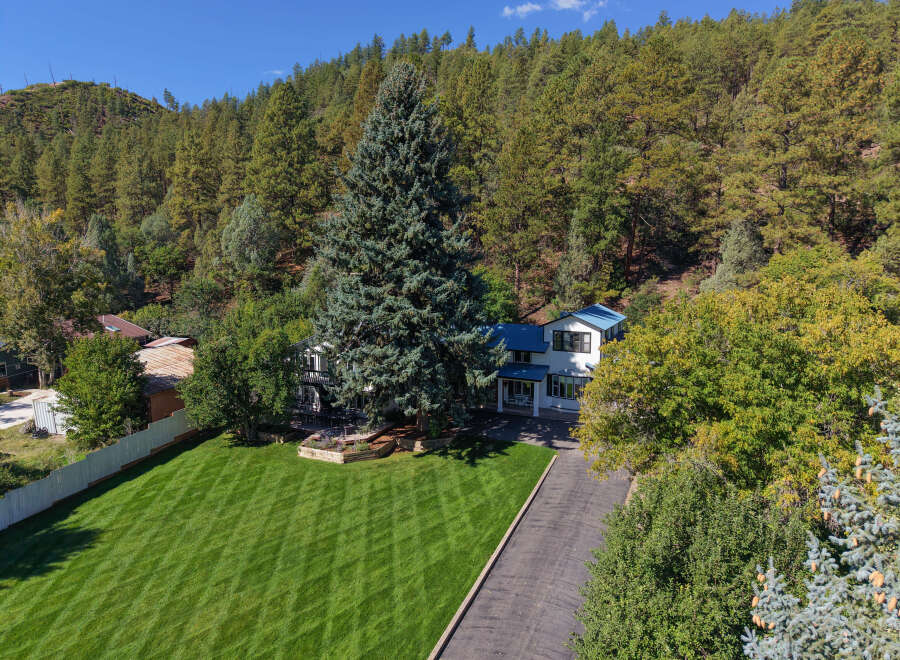 Nestled amidst a lush forest, this charming home offers a serene retreat with its expansive green lawn and mature trees.