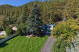 Nestled amidst a lush forest, this charming home offers a serene retreat with its expansive green lawn and mature trees.