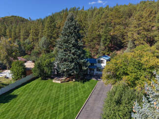 Nestled amidst a lush forest, this charming home offers a serene retreat with its expansive green lawn and mature trees.