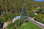Discover this charming property nestled amidst a lush, wooded hillside.