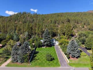 Nestled amidst a lush pine forest, this property offers a serene retreat with a charming white house featuring a blue roof and a spacious, manicured lawn.