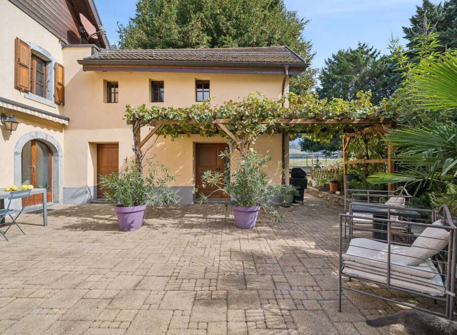 Enjoy outdoor living with this charming patio featuring a vine-covered pergola, perfect for al fresco dining or relaxation.